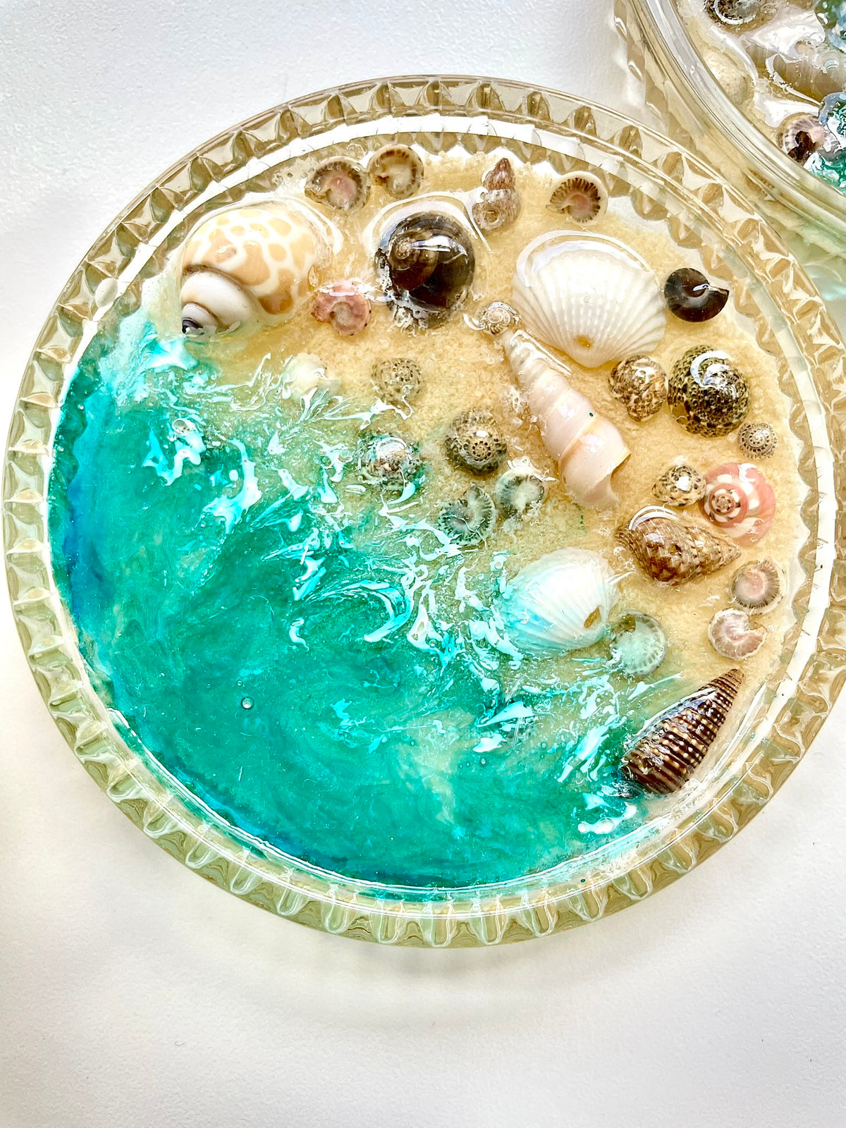 Shoreline Treasures - Set of Two